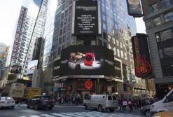 GrillEye GE0001 Essensthermometer 0 - 300 °C Digital -Küchenprofi Verkaufsgeschäft 75b7d610 f2e2 439c ae62 ffa2555d1309