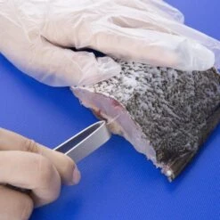 Vogue Fischgrätenpinzette -Küchenprofi Verkaufsgeschäft 9029a45c 783c 4b19 926a c65efbe531d8